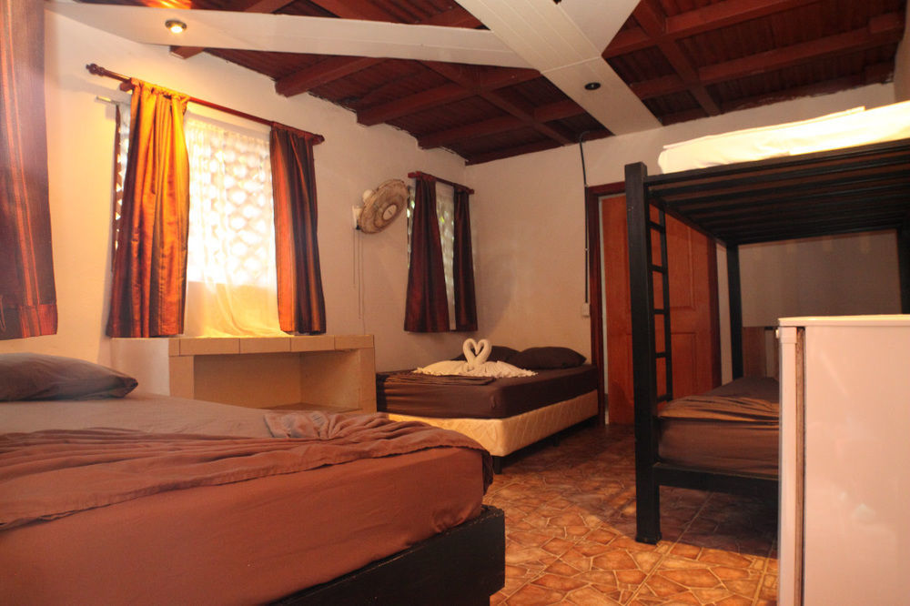La Casona De Tortuguero Hotel Buitenkant foto