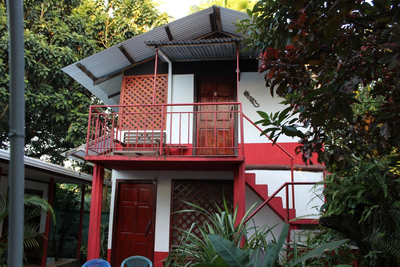 La Casona De Tortuguero Hotel Buitenkant foto